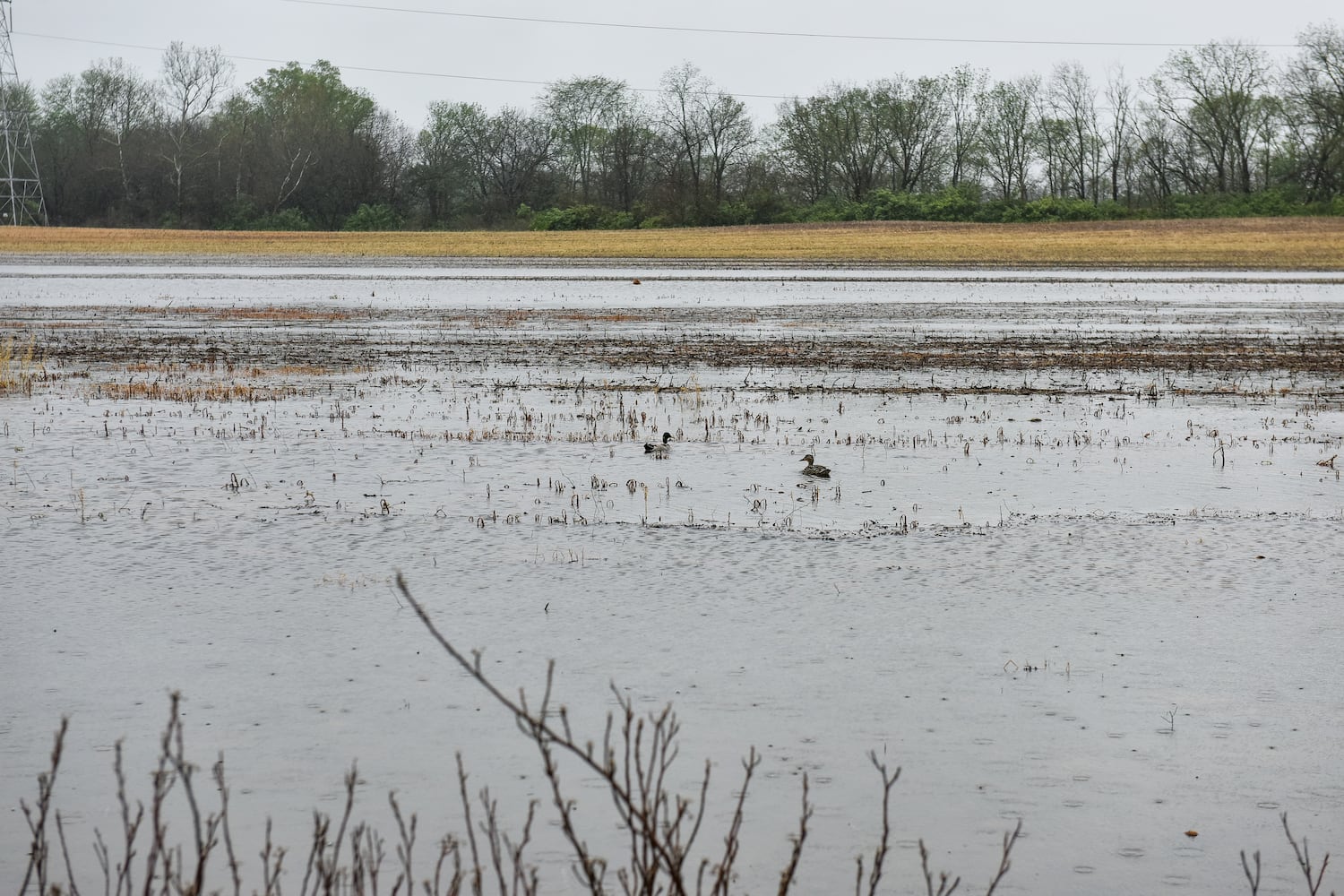 PHOTOS: Heavy rain causes flooding in Butler County