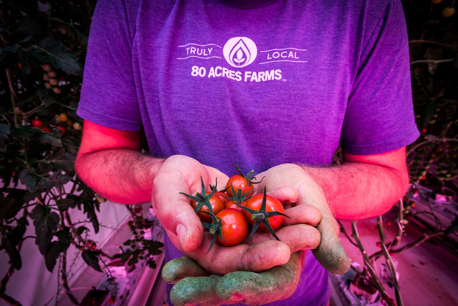 80 Acres Farms now operating in downtown Hamilton