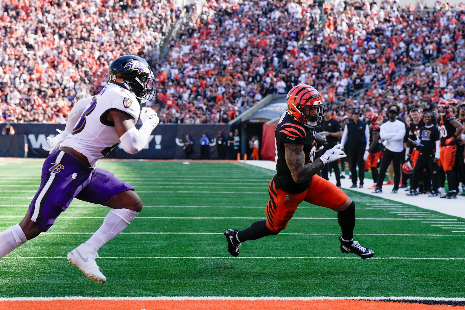 Ravens Bengals Football