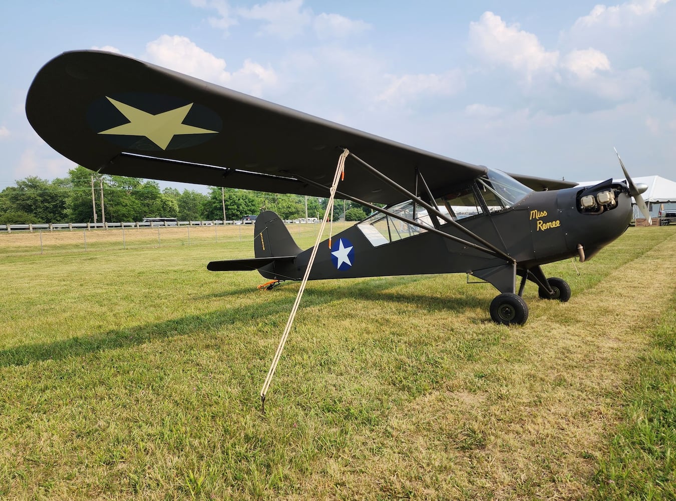 061523 Aeronca Fly In