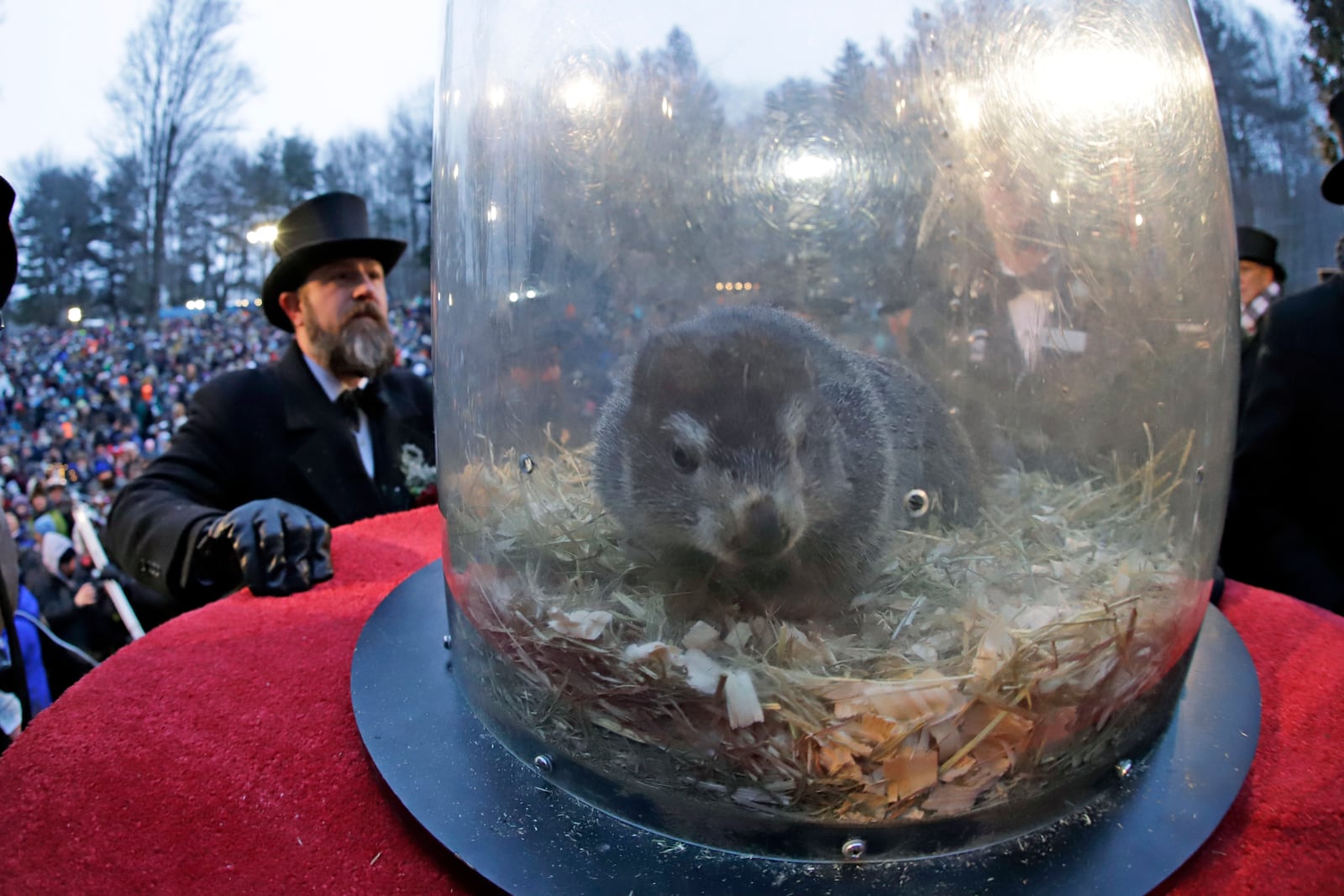 FILE - Groundhog Club co-handler A.J. Dereume, left, places Punxsutawney Phil, the weather prognosticating groundhog, in his carrying capsule, during the 133rd celebration of Groundhog Day on Gobbler's .J.Knob in Punxsutawney, Pa. Saturday, Feb. 2, 2019. (AP Photo/Gene J. Puskar, File)