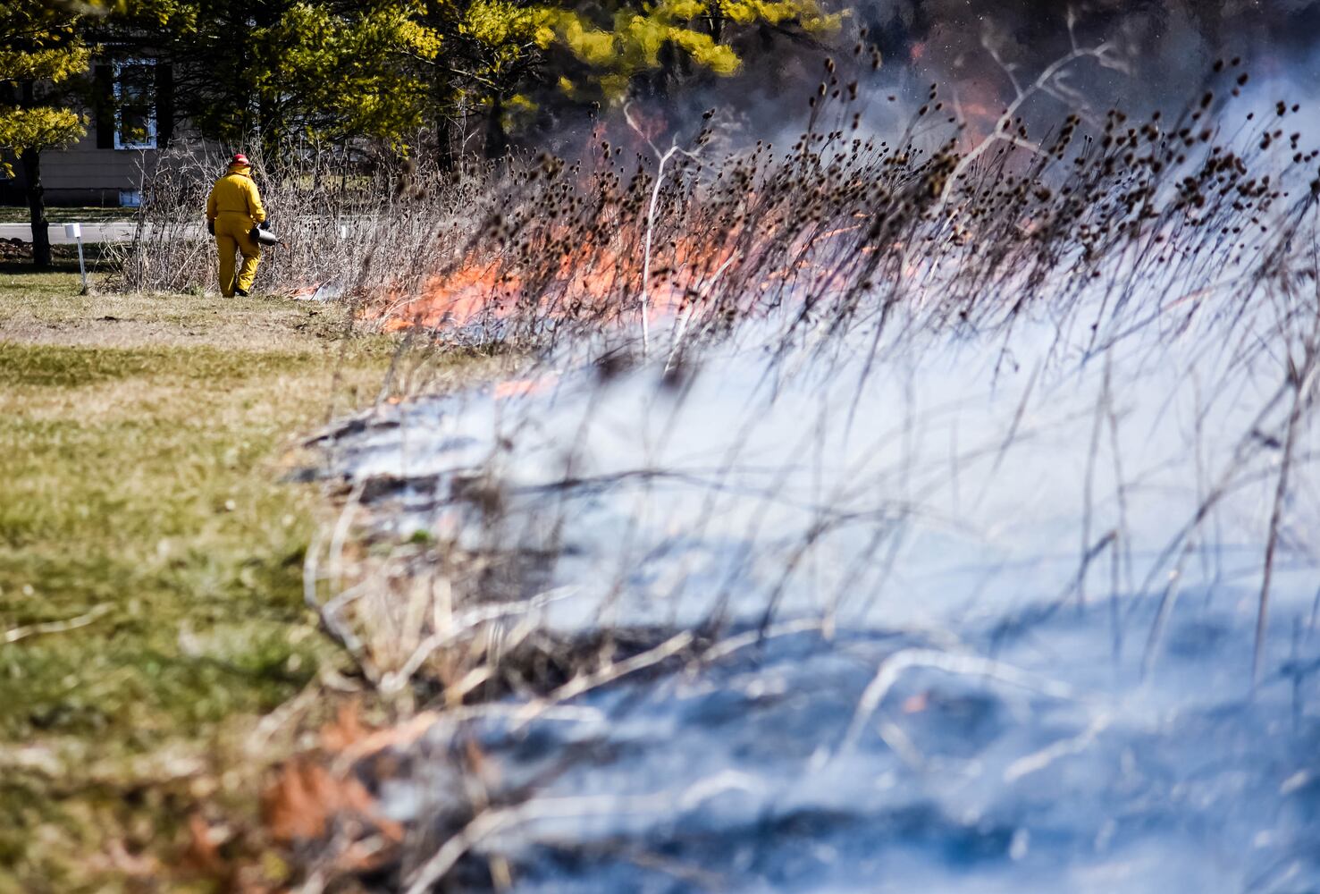 Controlled burns at Riverside Natural Area in Hamilton