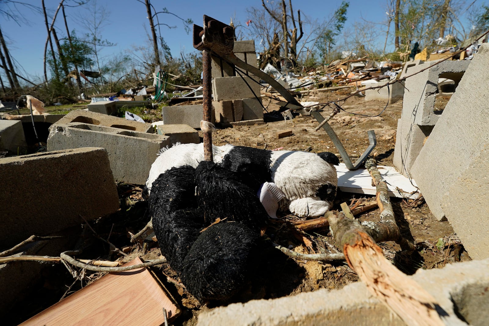 A toy panda bear lies amid the rubble of a mobile home that was destroyed from tornado in Tylertown, Miss., on Sunday, March 16, 2025. (AP Photo/Rogelio V. Solis)