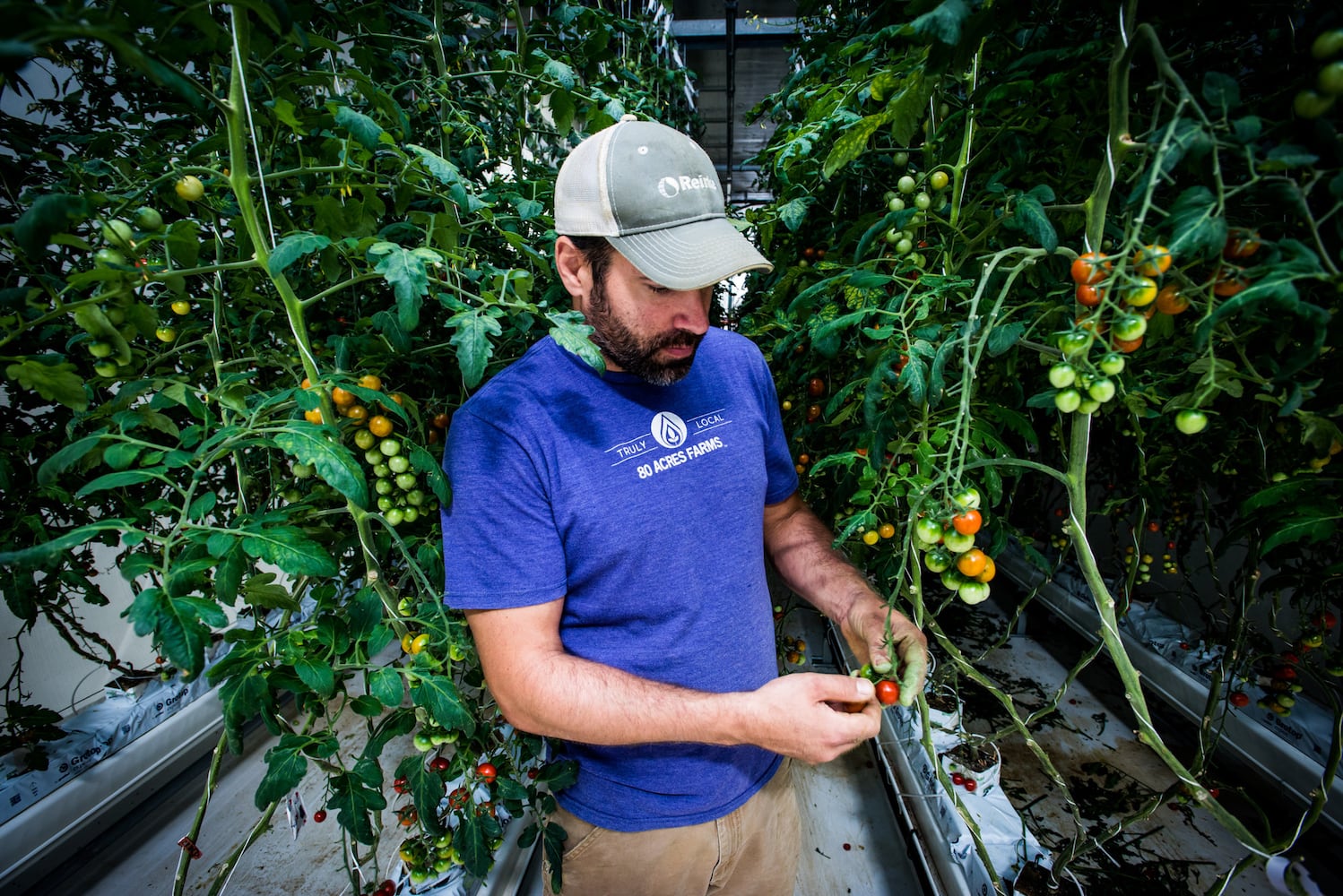 80 Acres Farms now operating in downtown Hamilton