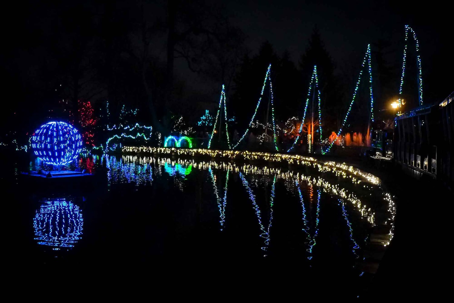 PHOTOS Cincinnati Zoo Festival of Lights 2019