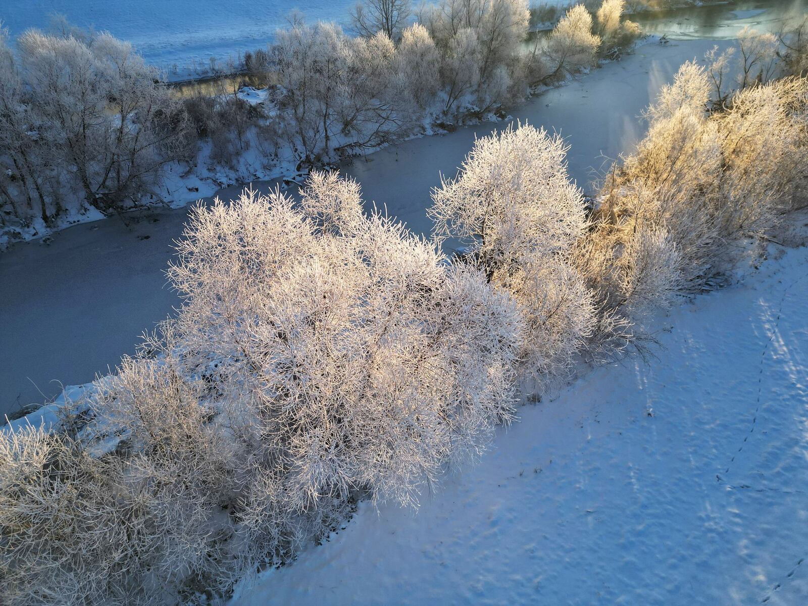 Ice forms on trees in near zero degree temperature  near the Great Miami River Thursday morning, Jan. 9, 2025 in Middletown. NICK GRAHAM/STAFF