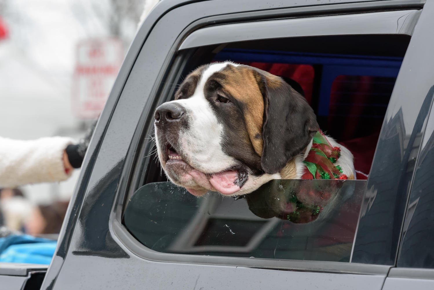 PHOTOS: 2024 Christmas in Historic Springboro Parade & Festival