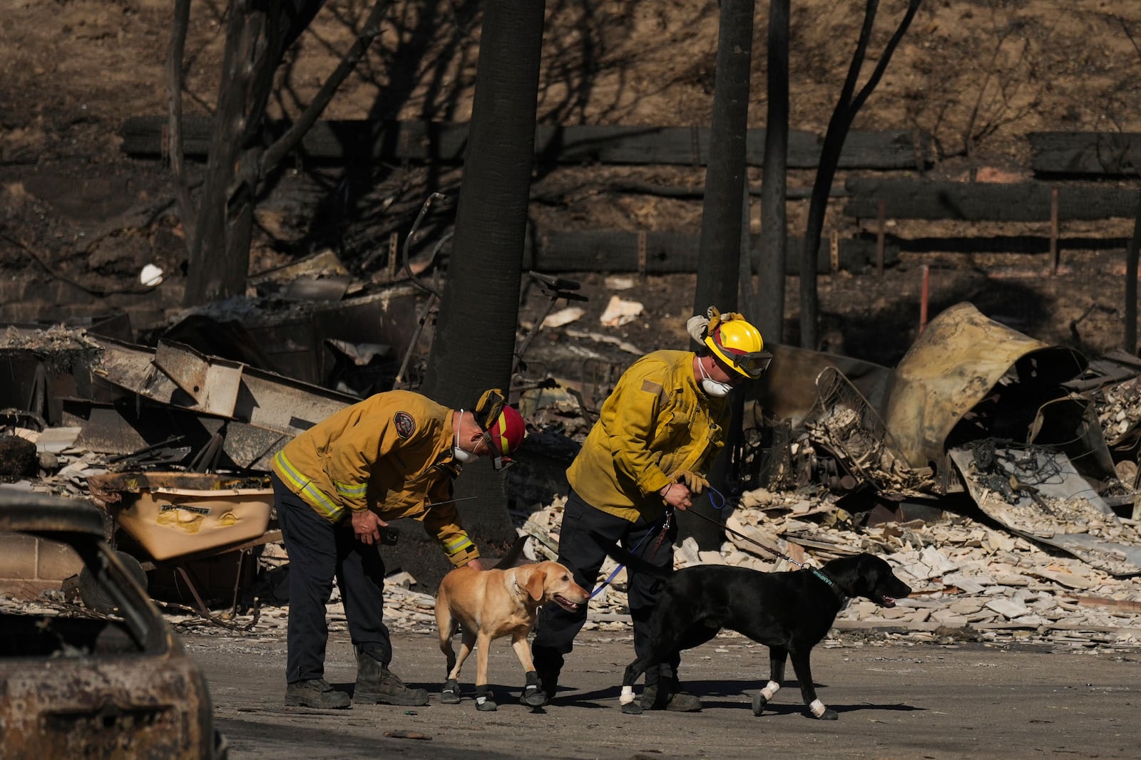 Search and rescue crew inspect a mobile home park destroyed by the Palisades Fire in Palisades, Calif. is seen, Wednesday, Jan. 15, 2025. (AP Photo/Jae C. Hong)