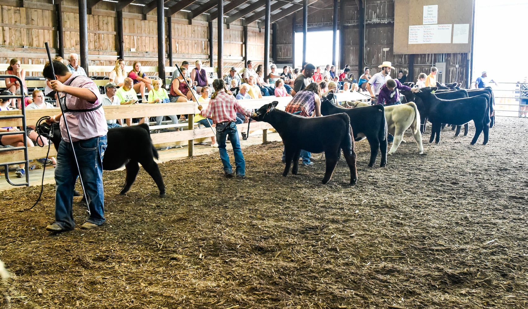 Scenes from the Butler County Fair 2019