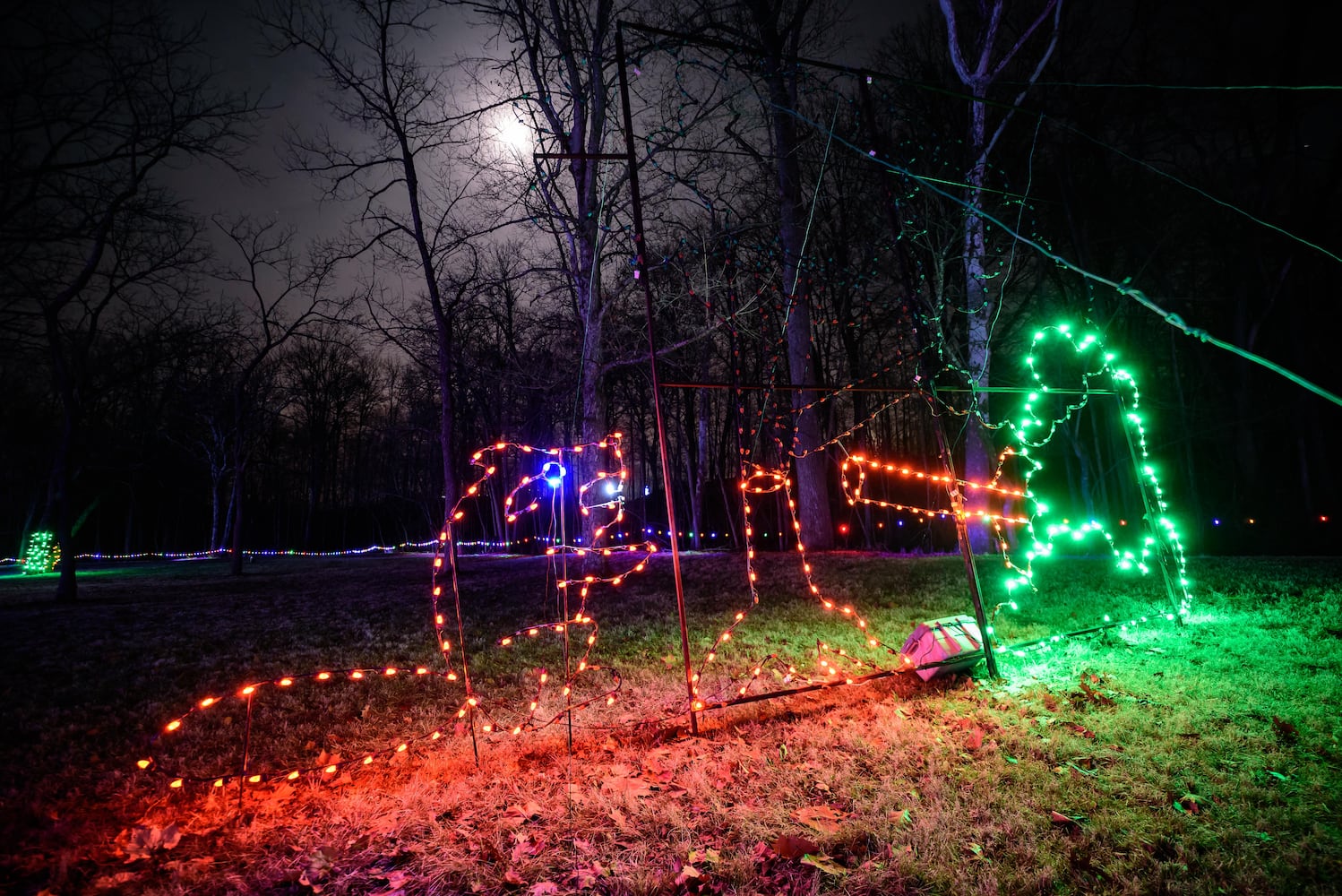 PHOTOS: Fort Saint Clair Whispering Christmas light display in Eaton