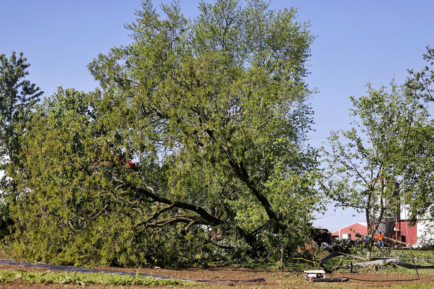 050824 storm damage