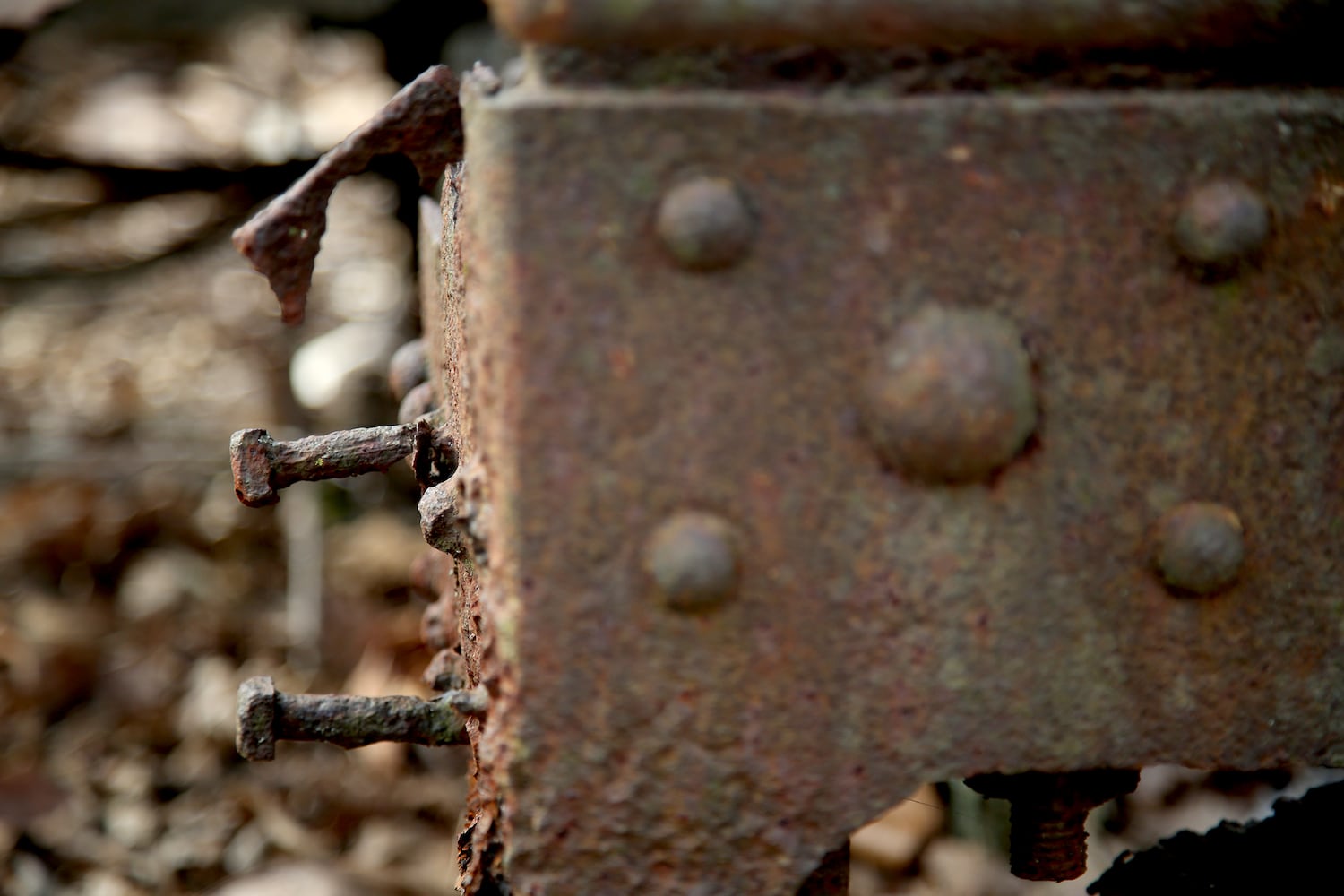 PHOTOS: Long-abandoned amusement park lives on in Possum Creek MetroPark