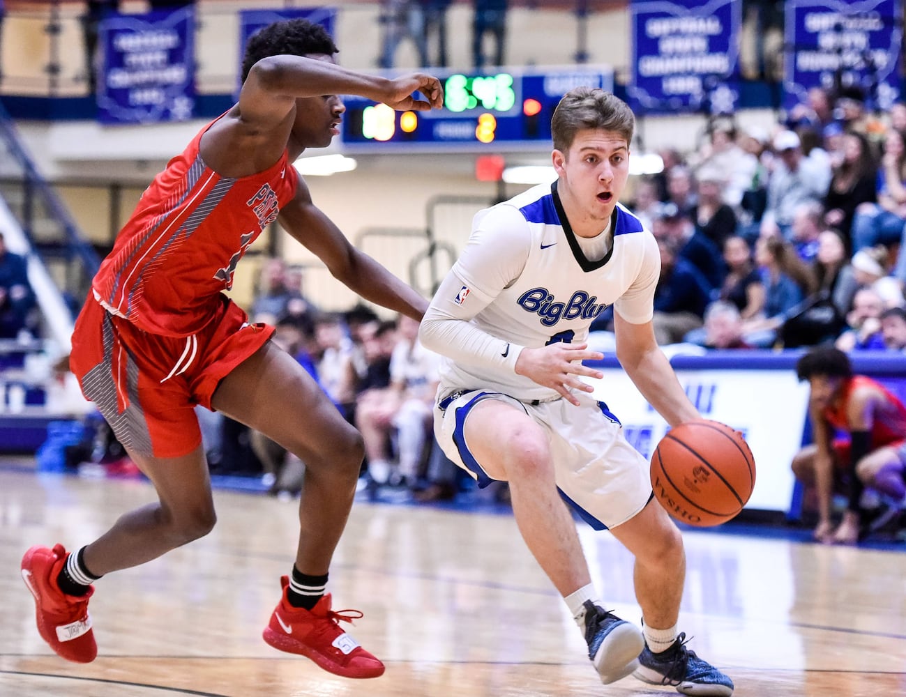 Hamilton vs Princeton basketball