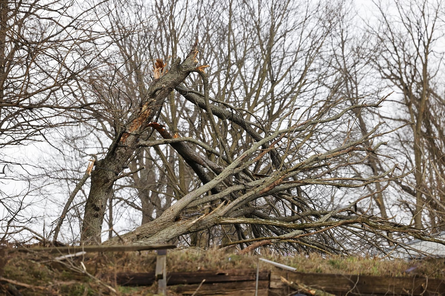 022723 tornado damaged butler county