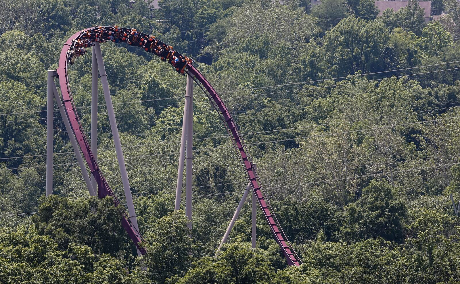 Kings Island visitors ride Diamondback roller coaster Friday, June 9, 2023 in Mason. NICK GRAHAM/STAFF