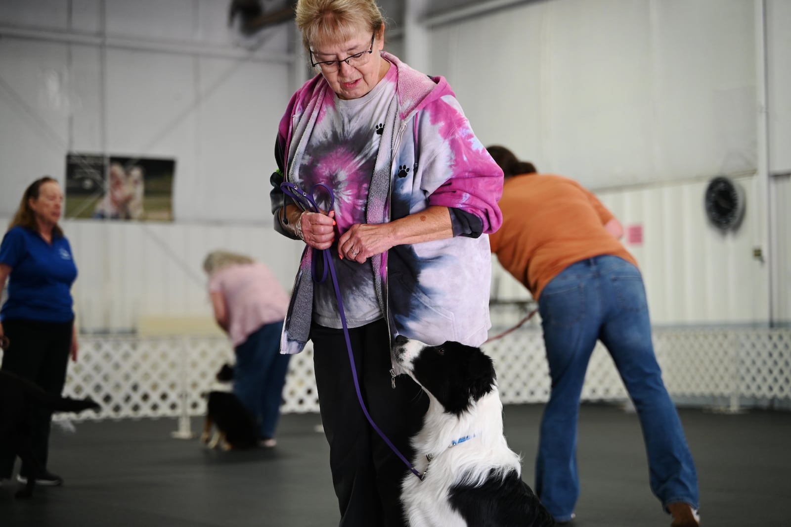 Pictured is Diana Reeb, of Fairfield, with her dog, Cruz, an Australian Shepherd, during the last session of a course on Oct. 8, 2024, at the Hamilton Dog Training Club in Fairfield, Ohio. On Sunday, Oct. 13, 2024, the club, which was founded in Hamilton, will celebrate 70 years. MICHAEL D. PITMAN/STAFF