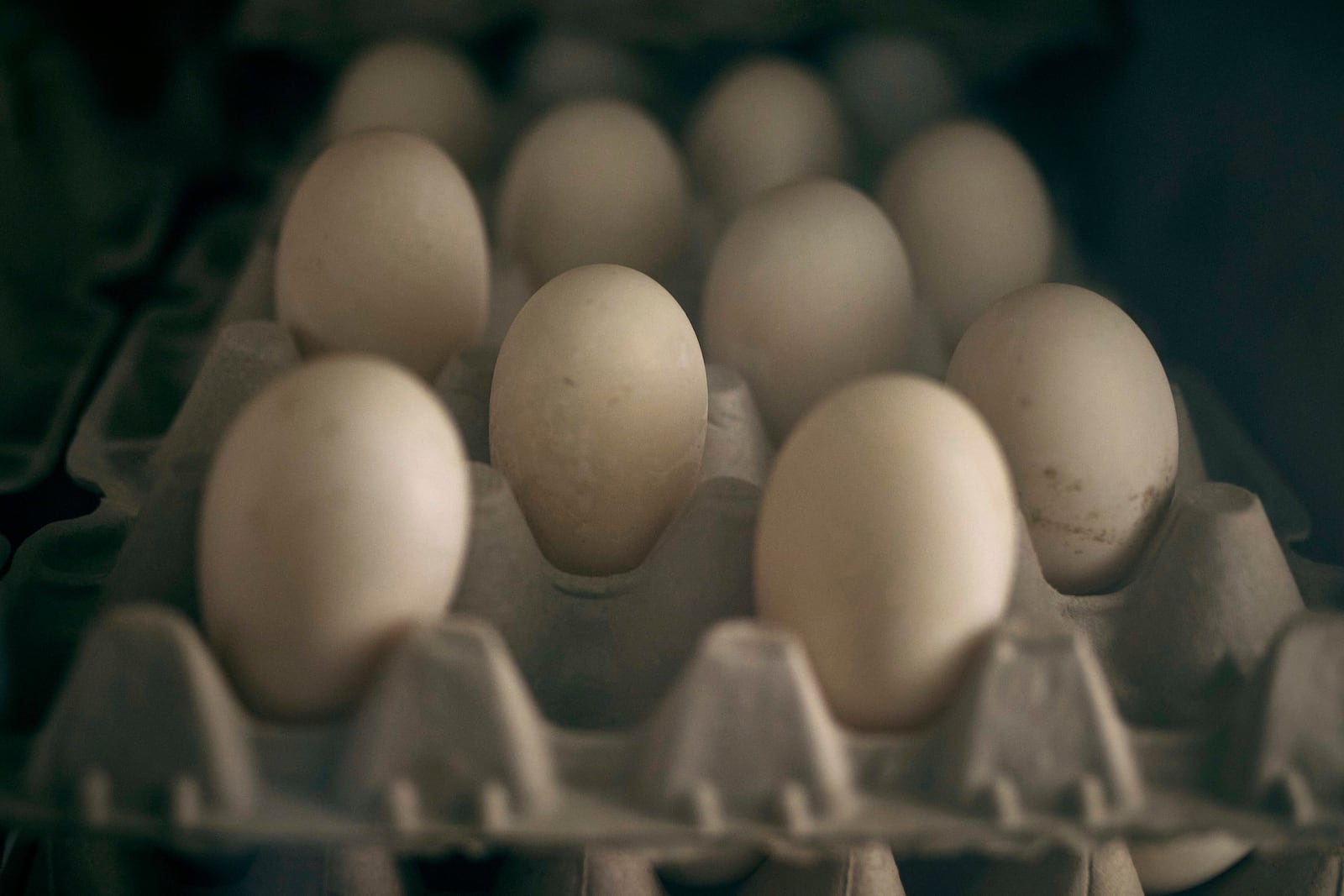 Eggs for sale are displayed inside a poultry store on Friday, Feb. 7, 2025, in New York. (AP Photo/Andres Kudacki)