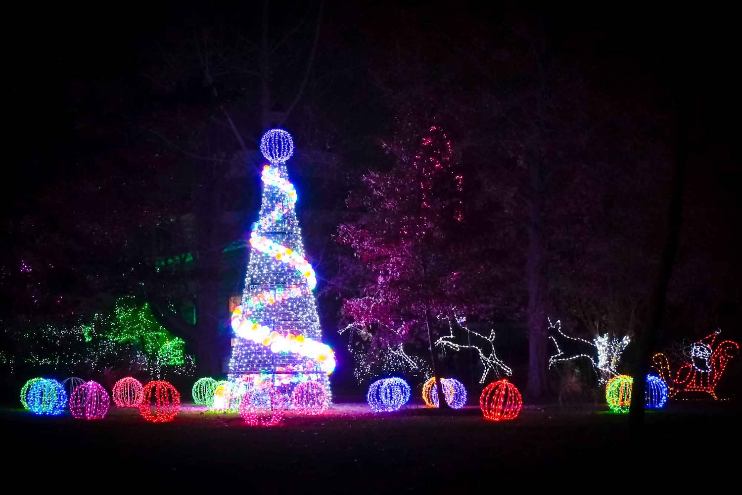 PHOTOS Cincinnati Zoo Festival of Lights 2019