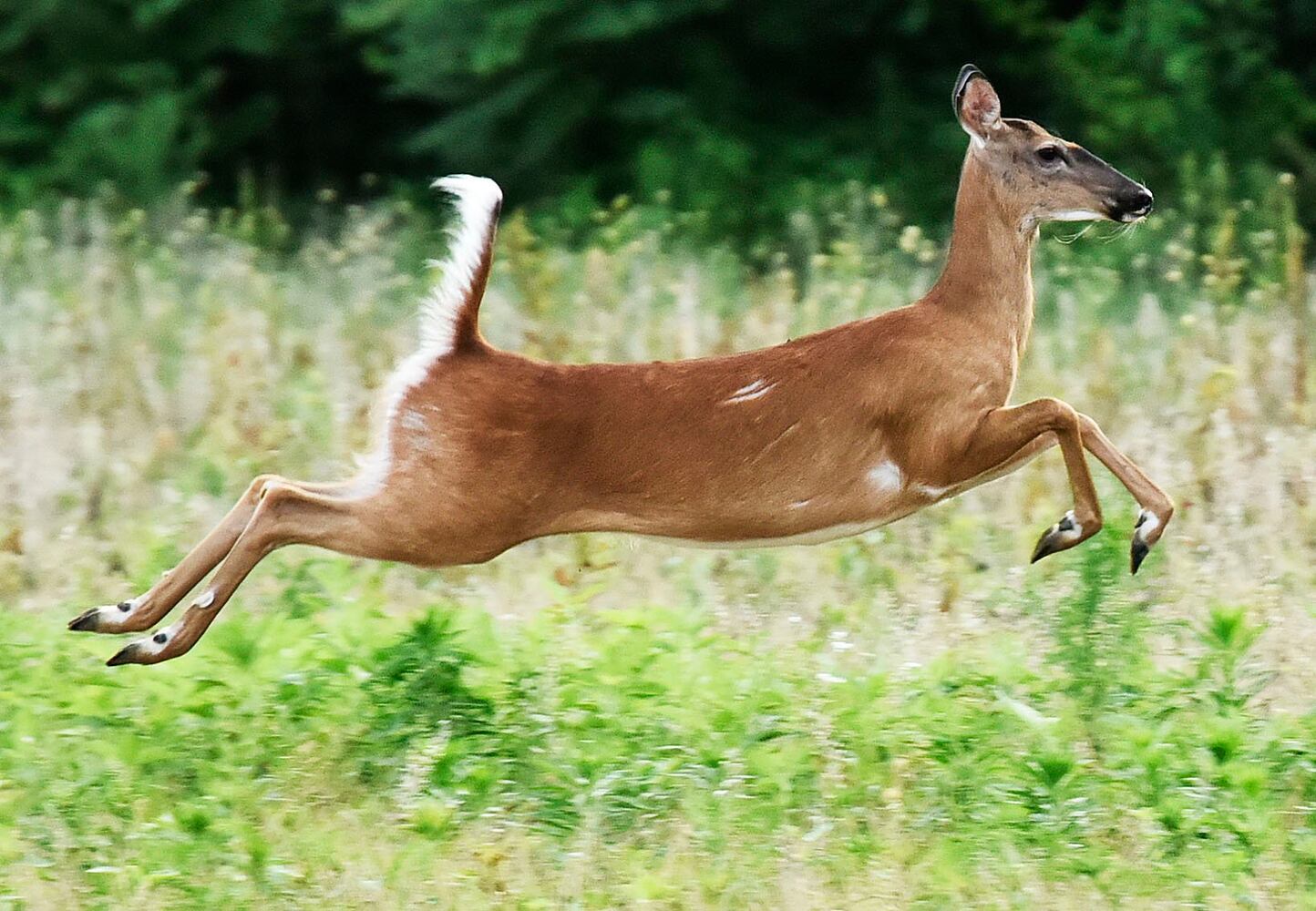 The year in Butler County photos: Best images of 2018