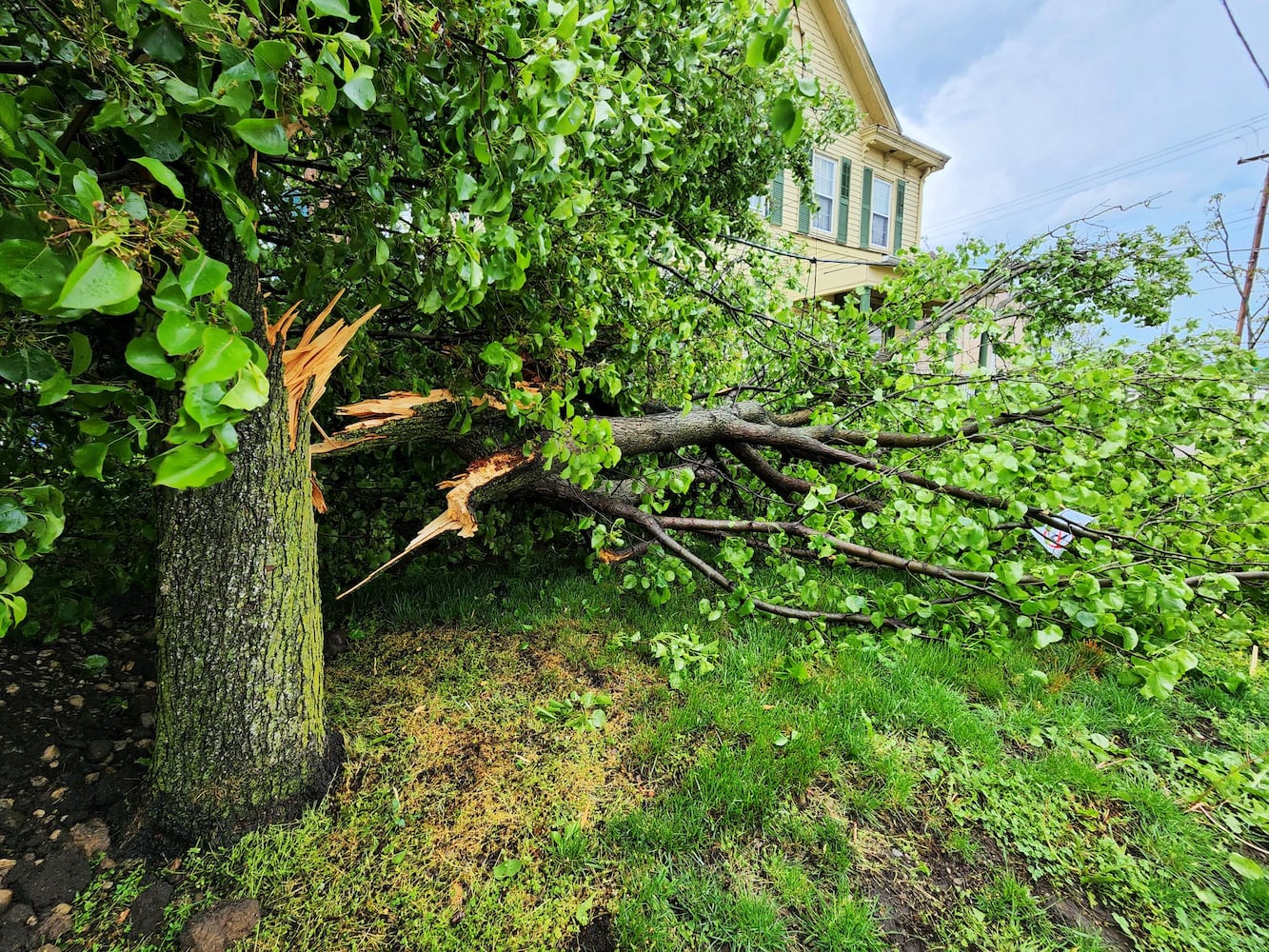 Hamilton storm photos