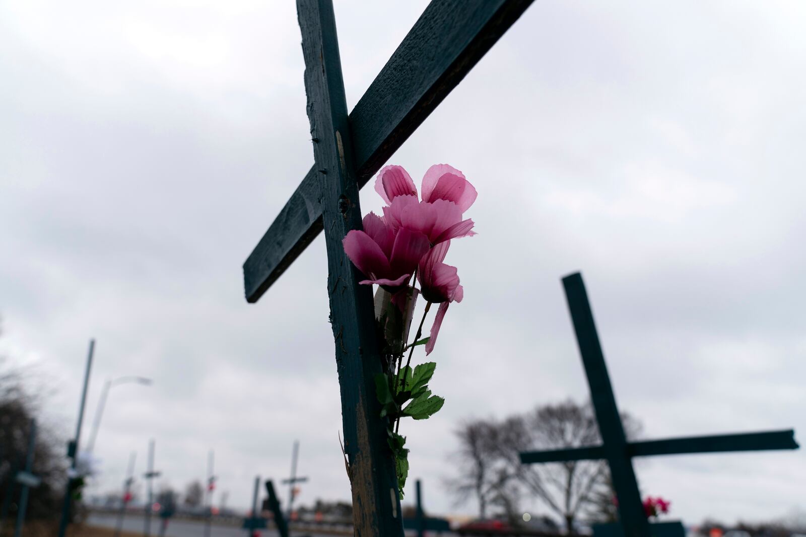 Crosses are seen in a makeshift memorial for the victims of the plane crash in the Potomac River near of Ronald Reagan Washington National Airport, Friday, Jan. 31, 2025, in Arlington, Va. (AP Photo/Jose Luis Magana)