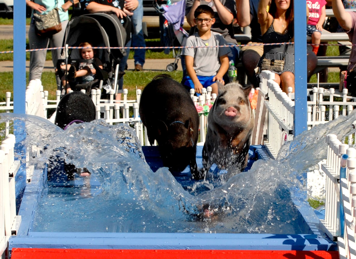 PHOTOS: Did we spot you at the Preble County Pork Festival?