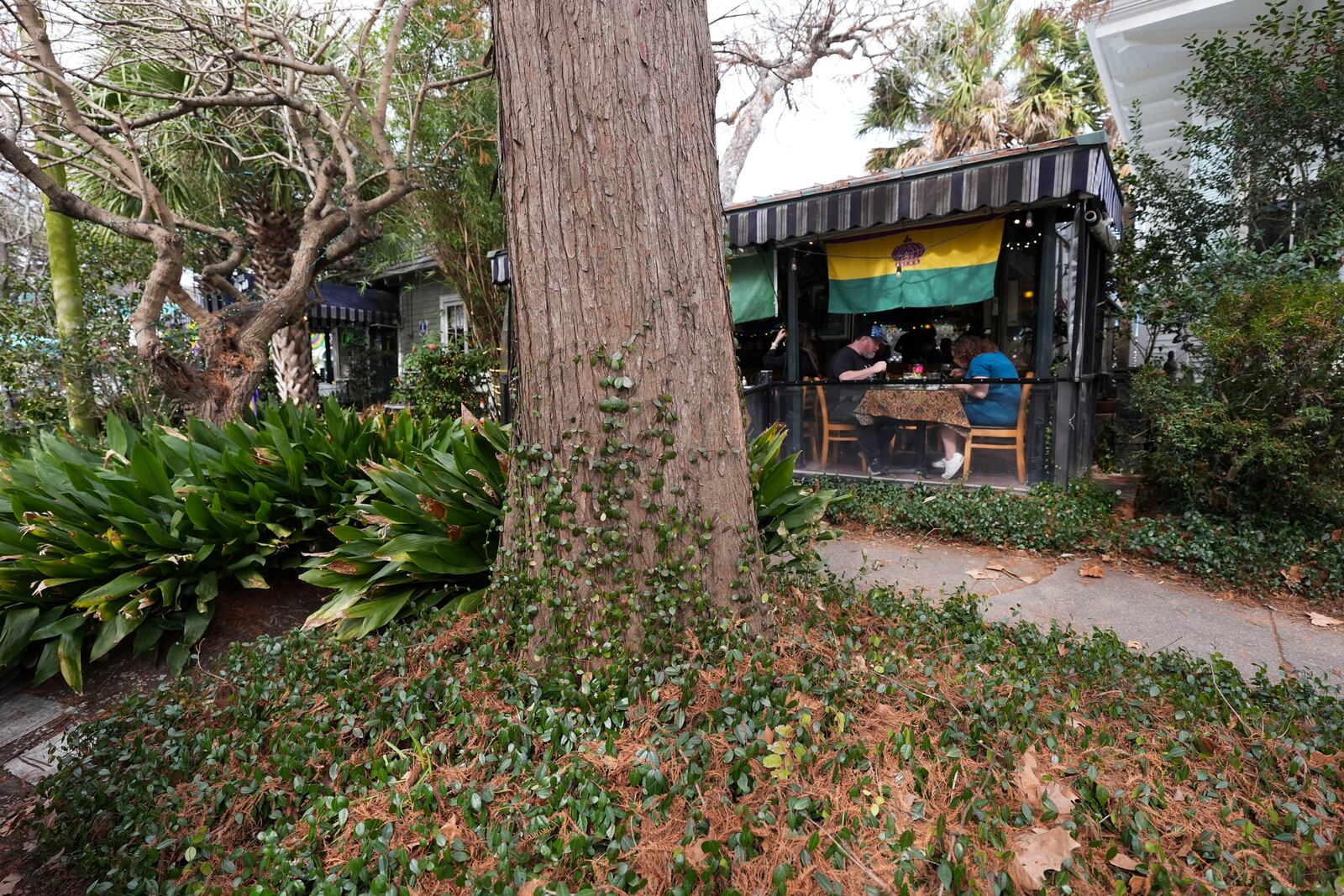 Patrons dine for lunch at Cafe Degas near City Park in New Orleans, Wednesday, Jan. 29, 2025. (AP Photo/Gerald Herbert)