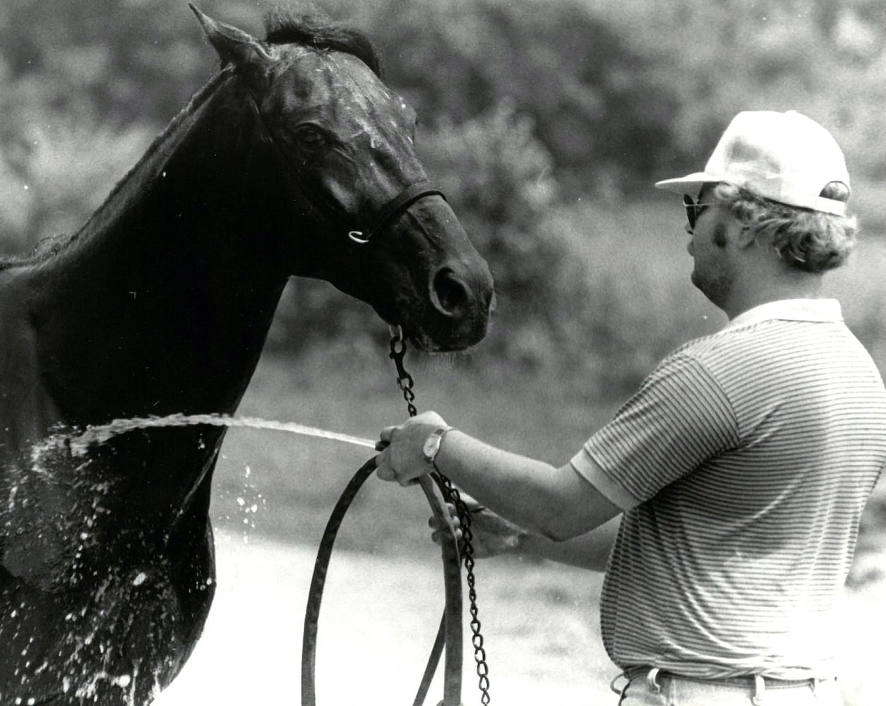 Throwback Thursday - Butler County Fair