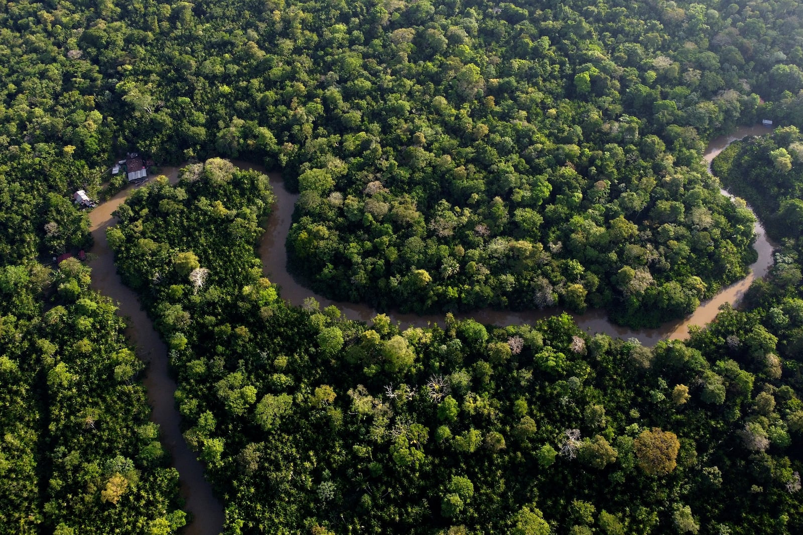 FILE - Forest lines the Combu creek, on Combu Island on the banks of the Guama River, near the city of Belem, Para state, Brazil, Aug. 6, 2023. (AP Photo/Eraldo Peres, File)