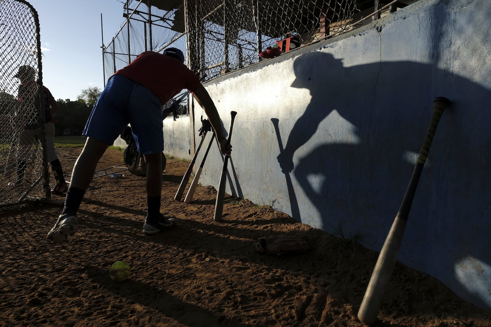 A teenage baseball player chooses a bat during a daily training session at the Trinitarios ballpark in Santo Domingo, Dominican Republic, Wednesday, Feb. 5, 2025. (AP Photo/Ricardo Hernandez)