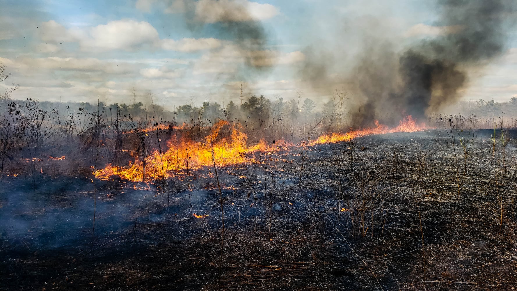 Controlled burns at Riverside Natural Area in Hamilton