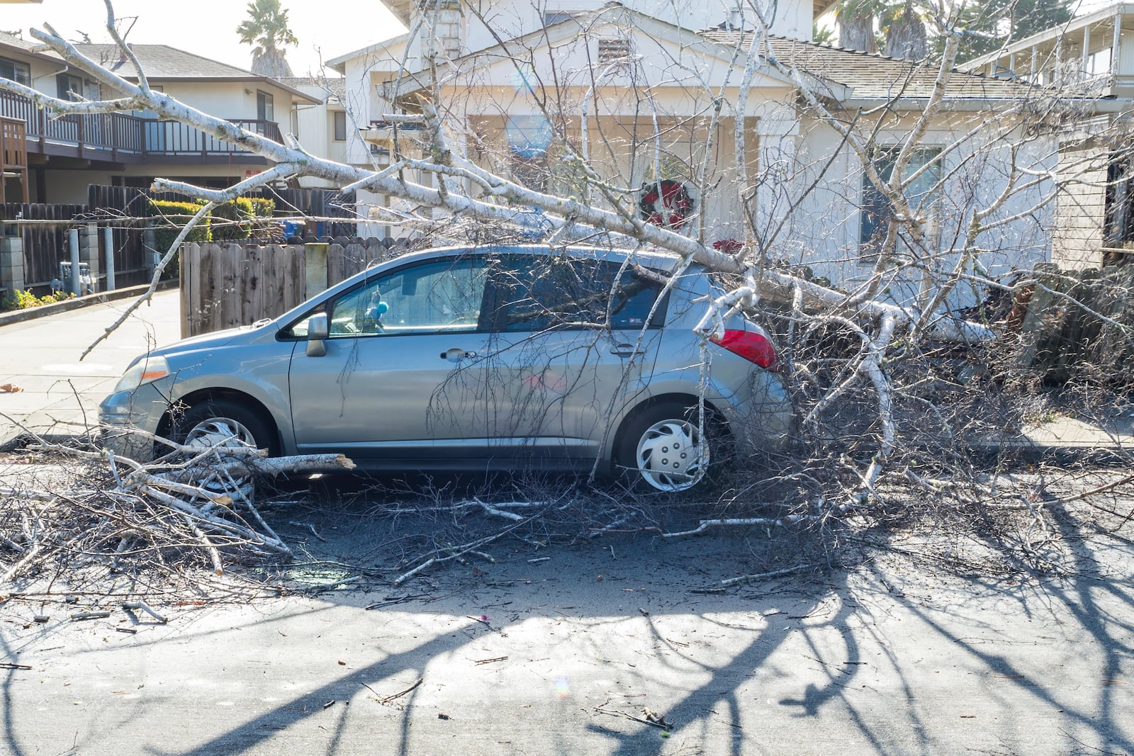 A car is damaged by a fallen tree in Monterey, Calif., Saturday, Dec. 14, 2024. (AP Photo/Nic Coury)