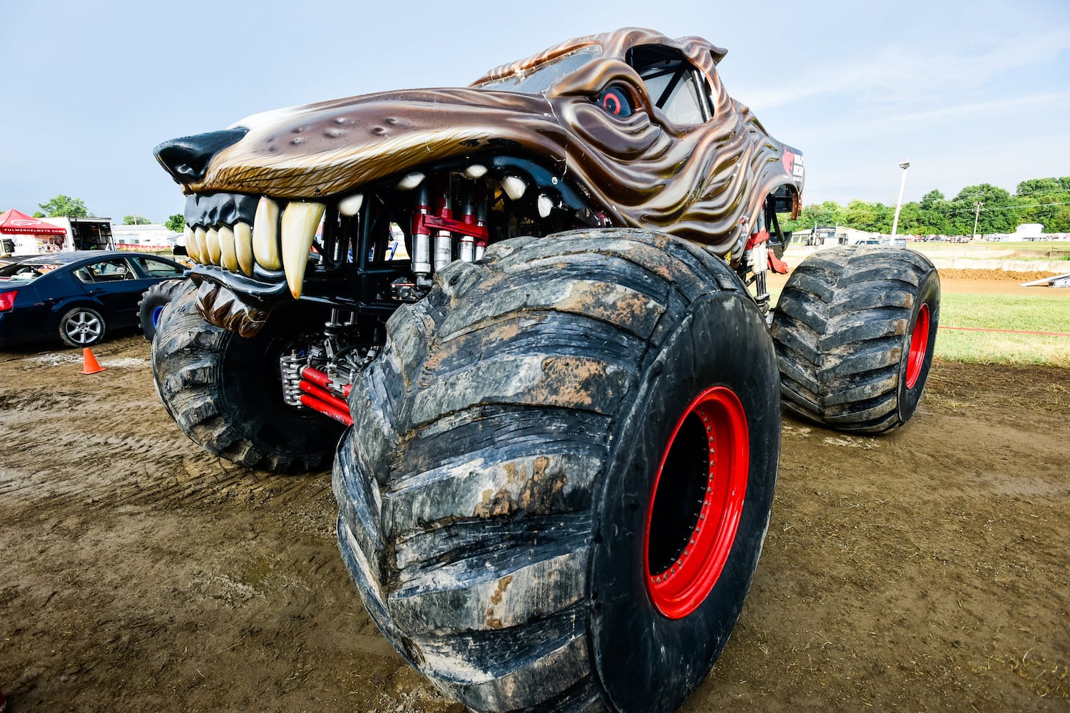 Scenes from the Butler County Fair 2019