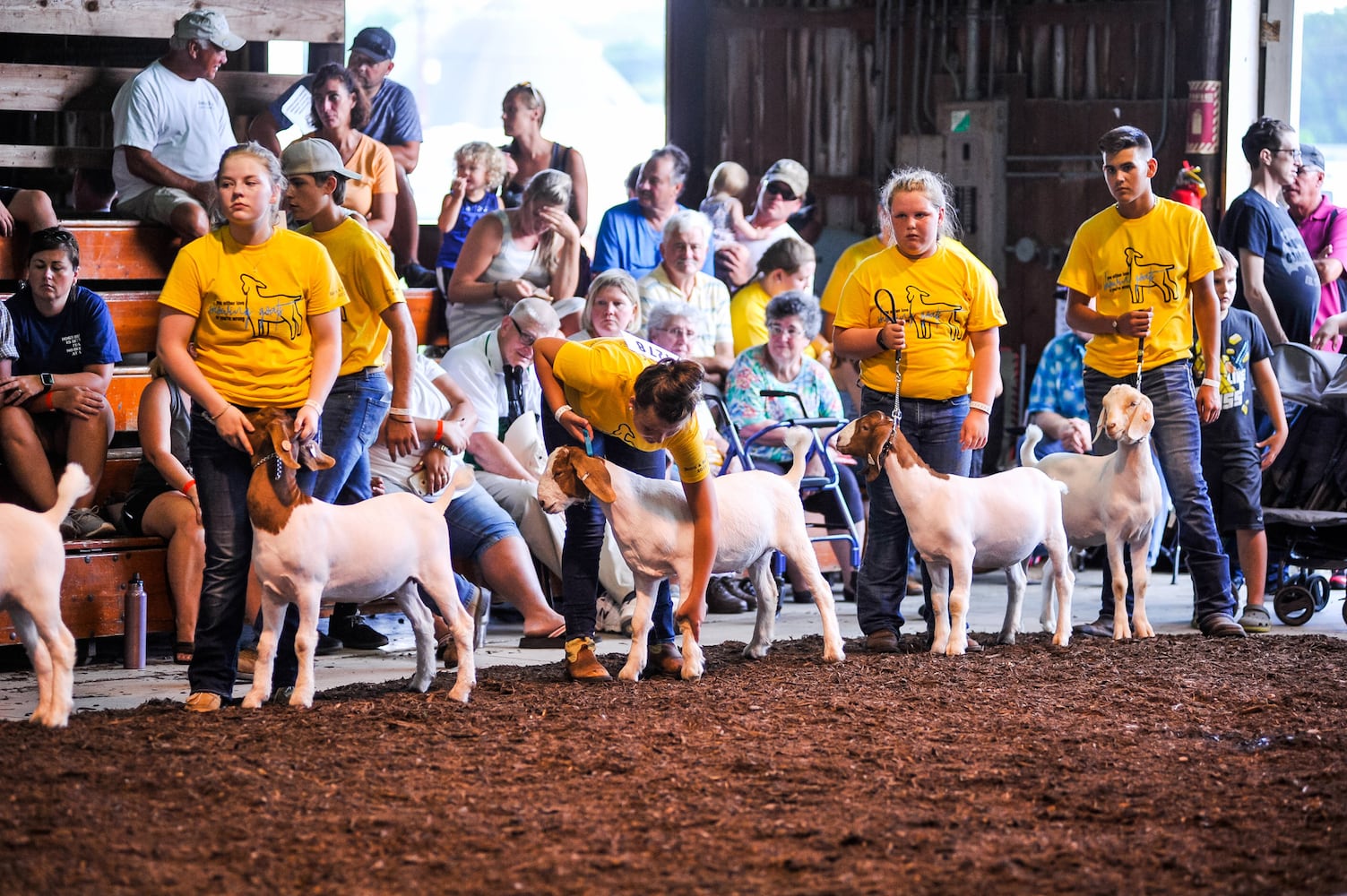 Scenes from the Butler County Fair 2019