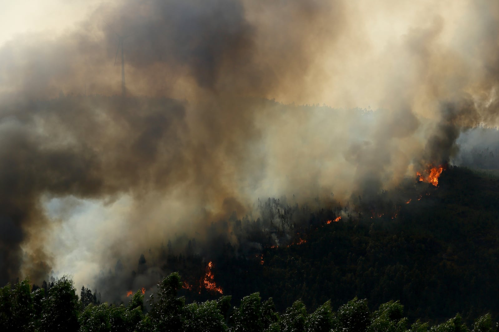 Wildfire advances near Sever do Vouga, a town in northern Portugal that has been surrounded by forest fires, Tuesday, Sept. 17, 2024. (AP Photo/Bruno Fonseca)