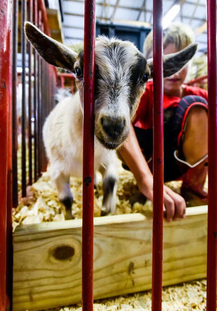 Scenes from the Butler County Fair 2019