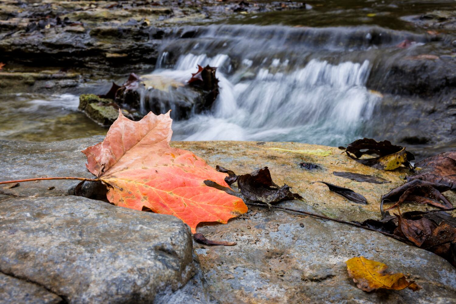 101923 fall colors