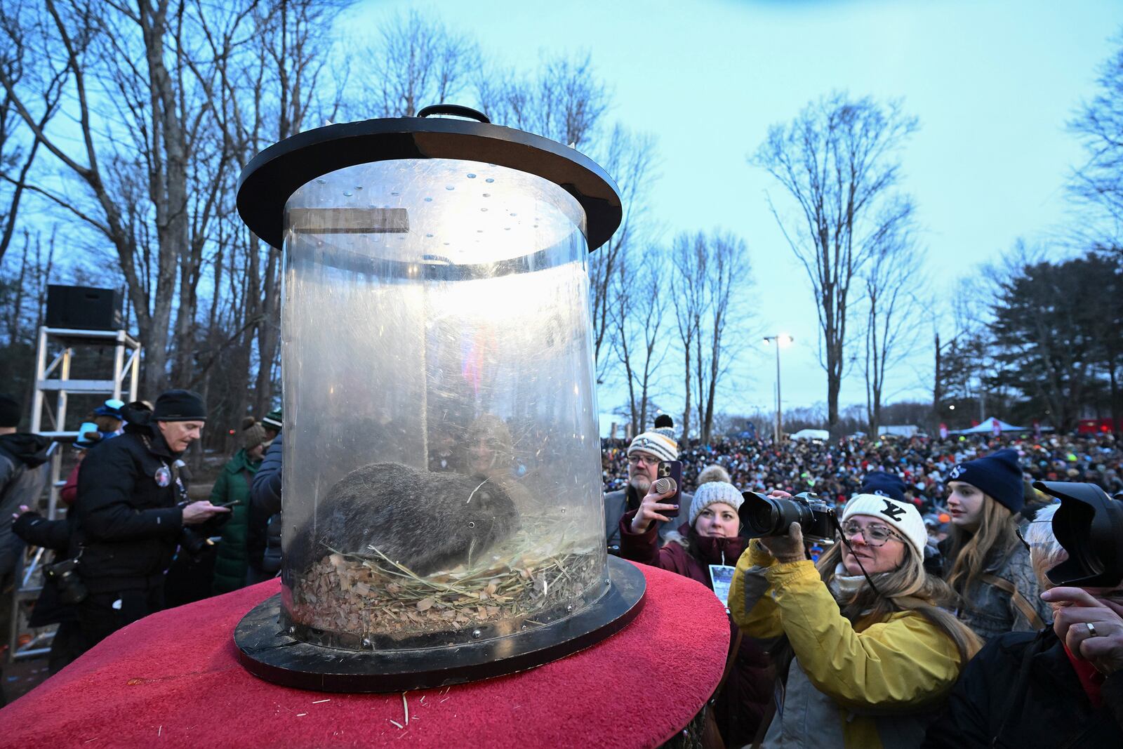 Punxsutawney Phil, the weather prognosticating groundhog,sits in his carrier following the 139th celebration of Groundhog Day on Gobbler's Knob in Punxsutawney, Pa., Sunday, Feb. 2, 2025. Phil's handlers said that the groundhog has forecast six more weeks of winter. (AP Photo/Barry Reeger)