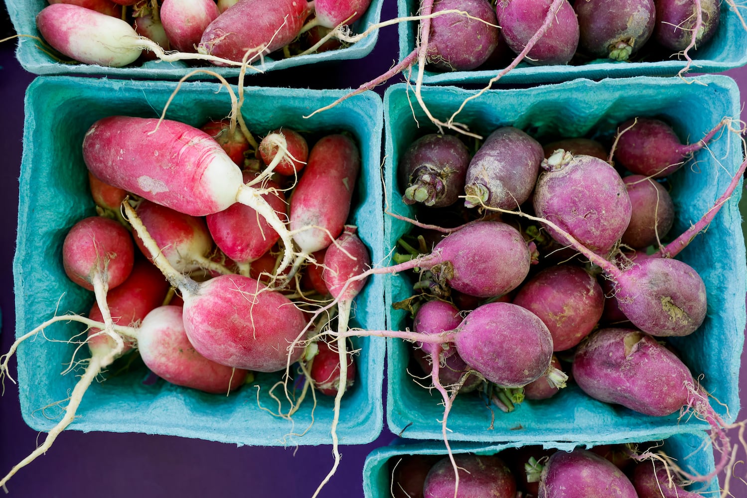 061423 Middletown Farmers Market