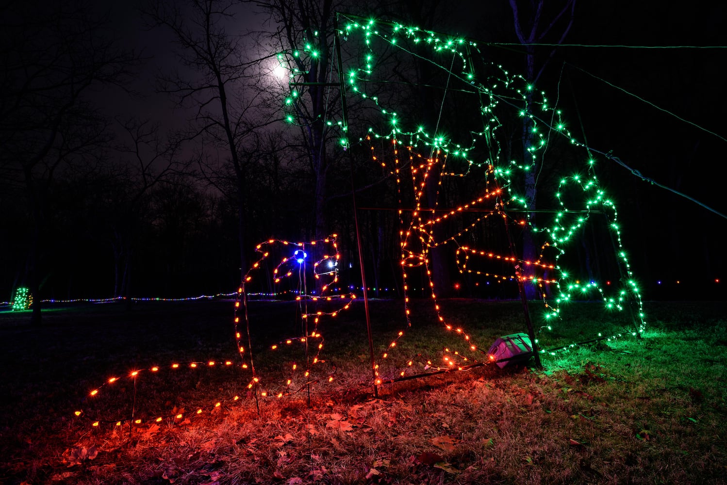 PHOTOS: Fort Saint Clair Whispering Christmas light display in Eaton