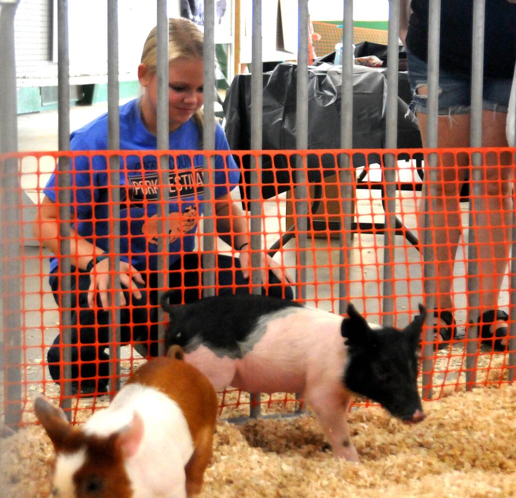 PHOTOS: Did we spot you at the Preble County Pork Festival?