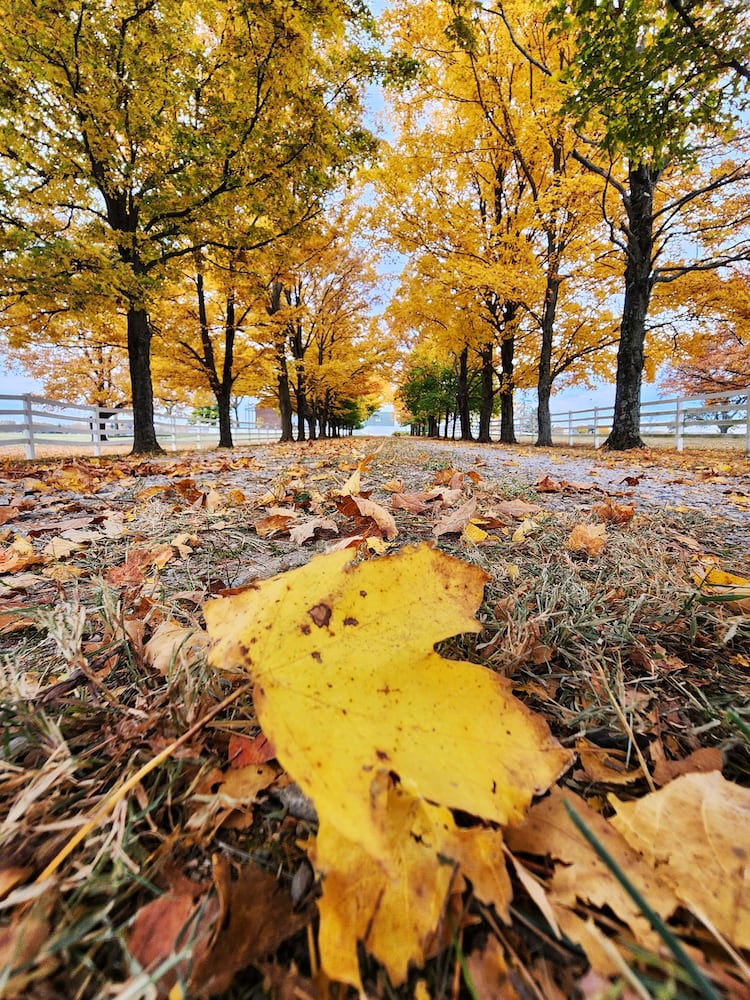 102622 fall colors Butler County