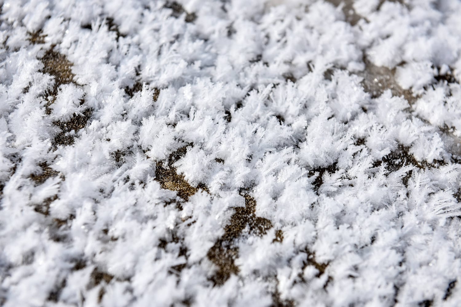 PHOTOS: 23 images that show winter weather has pounced on Butler County this month