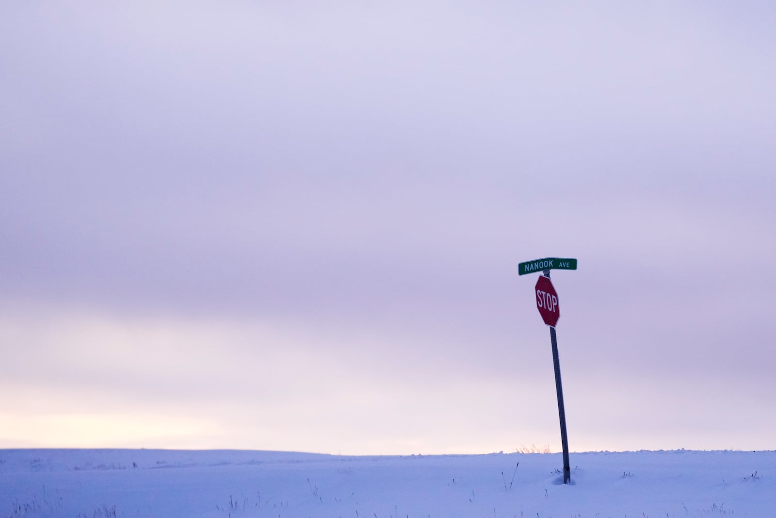 A stop sign is seen on Nanook Avenue, a word taken from the Inupiaq word for polar bear, in an undeveloped area at the edge of the village in Kaktovik, Alaska, Monday, Oct. 14, 2024. (AP Photo/Lindsey Wasson)