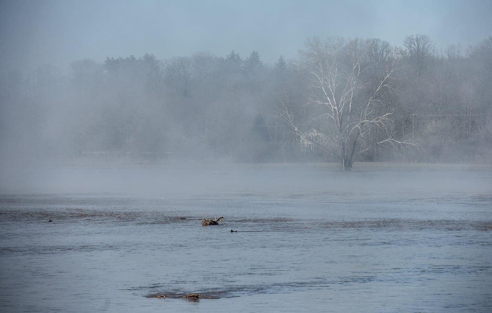 Middletown flooding