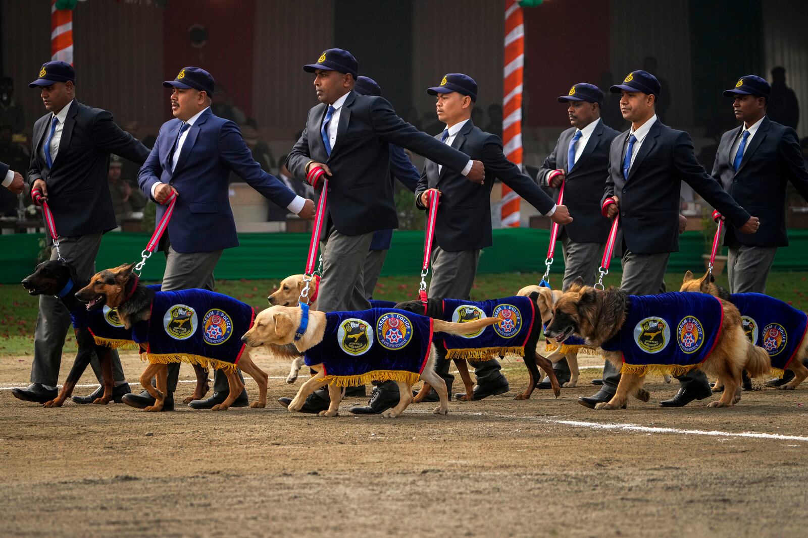 Assam police dog squad march during India's Republic Day parade in Guwahati, India, Sunday, Jan. 26, 2025. (AP Photo/Anupam Nath)