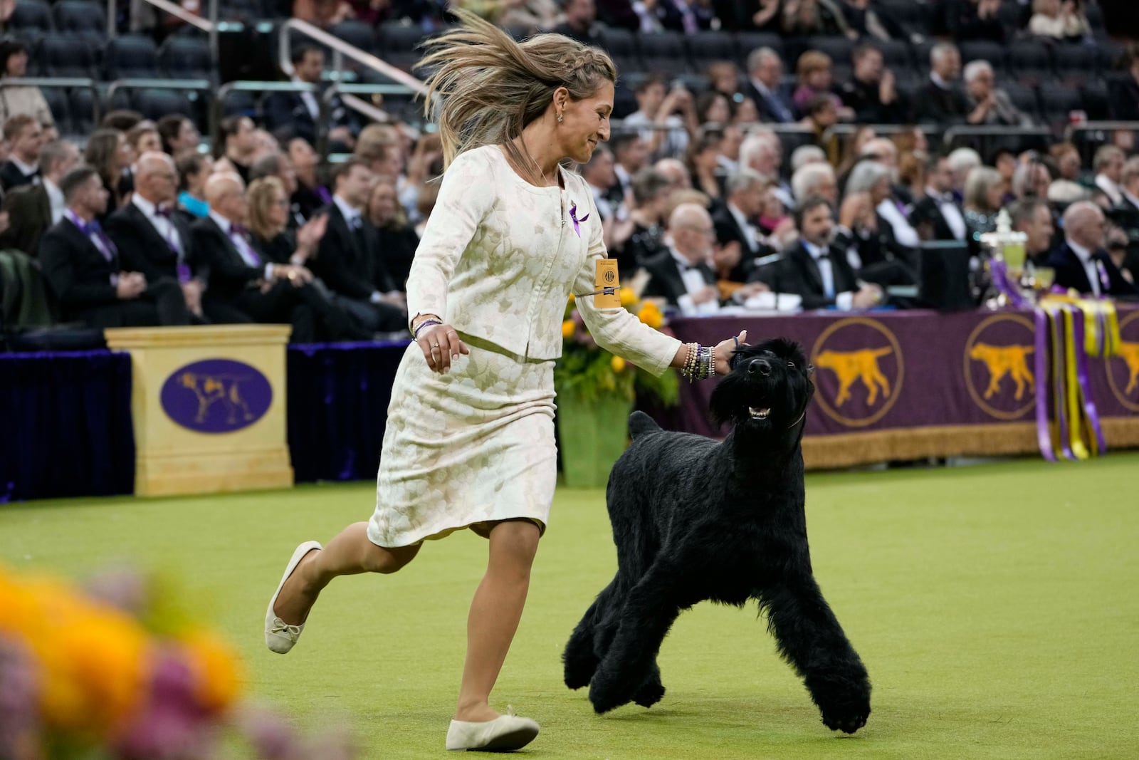 Katie Bernardin and Monty, a Giant Schnauzer, compete in the best in show competition during the 149th Westminster Kennel Club Dog show, Tuesday, Feb. 11, 2025, in New York. (AP Photo/Julia Demaree Nikhinson)