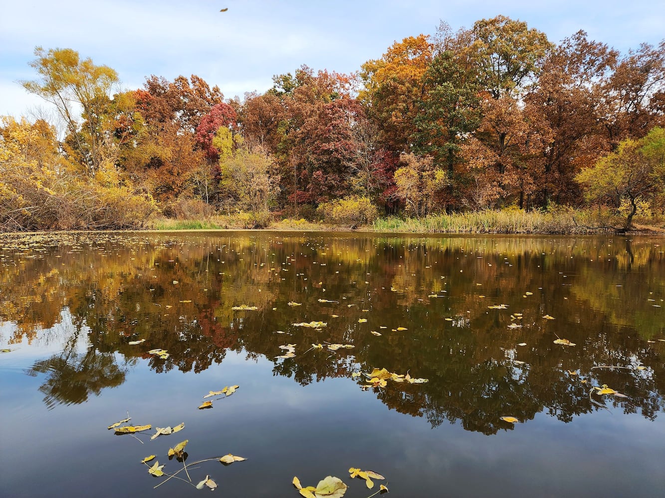 102622 fall colors Butler County