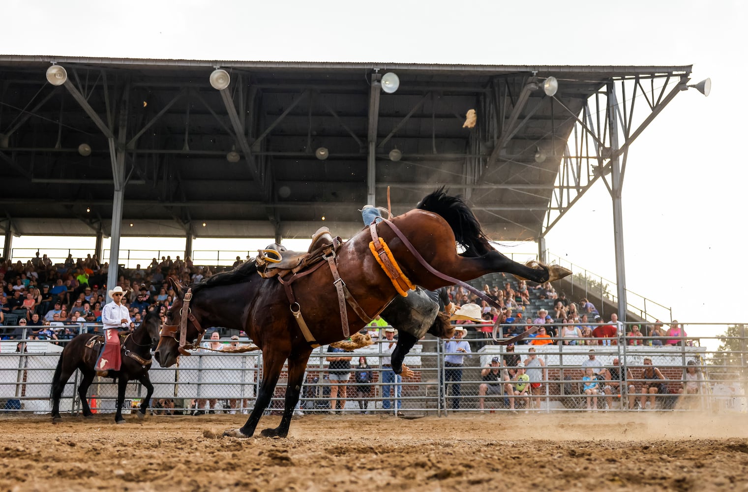 072523 BC Fair Broken Horn Rodeo