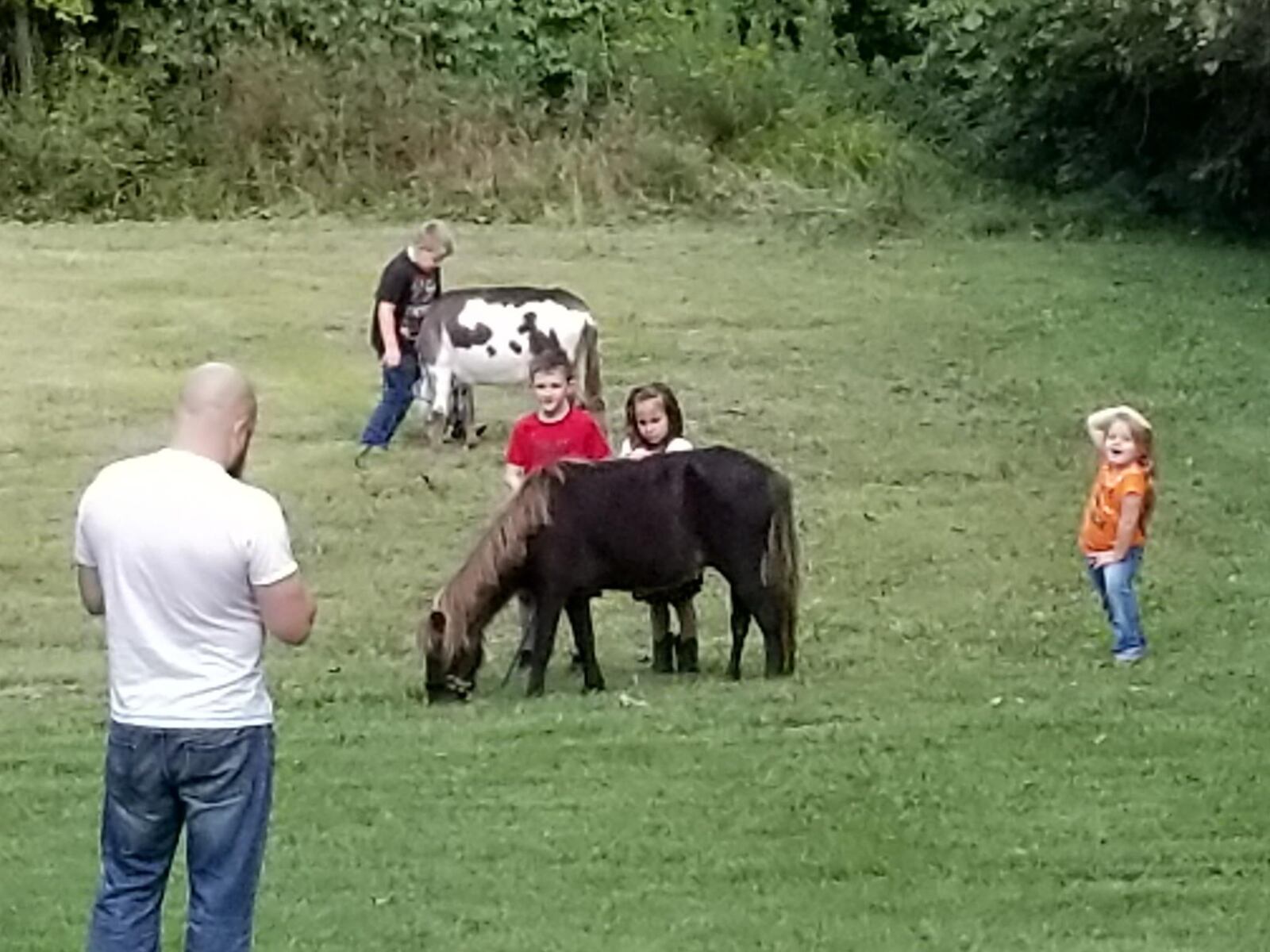 Howard Campbell’s grandchildren play with Simon, a miniature horse. Simon was one of three miniature horses attacked by dogs on Friday in St. Clair Twp. CONTRIBUTED